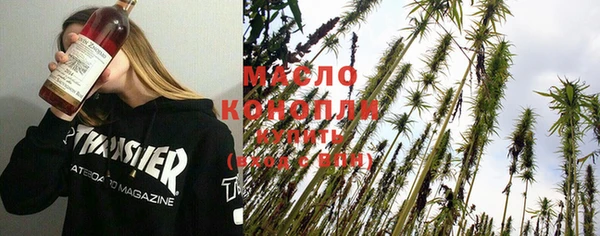 дживик Сясьстрой