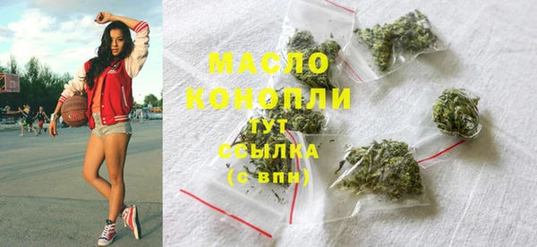 индика Струнино