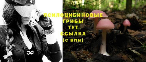 прущая мука Зеленодольск