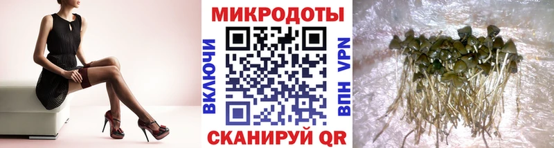 Купить закладки  Поронайск  Галлюциногенные грибы MAGIC MUSHROOMS 